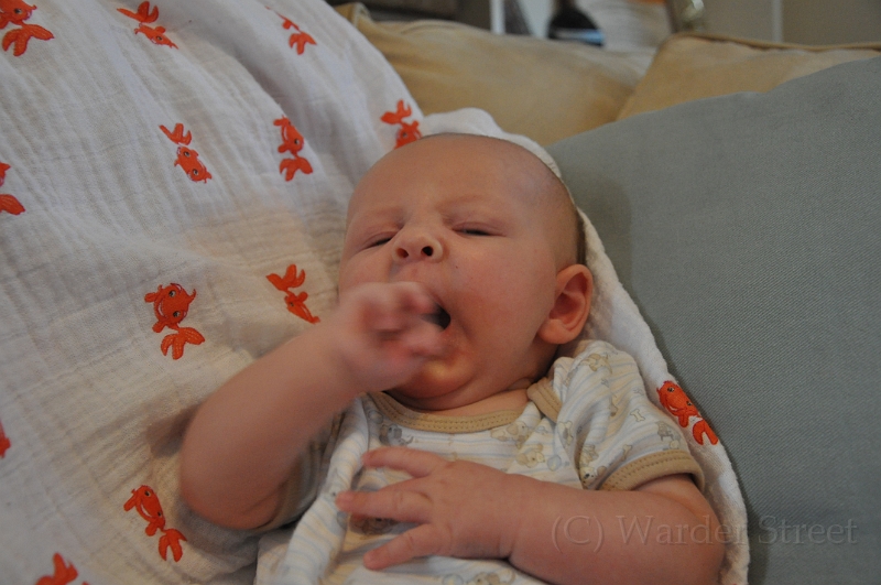 William's Eleventh Week 34.jpg